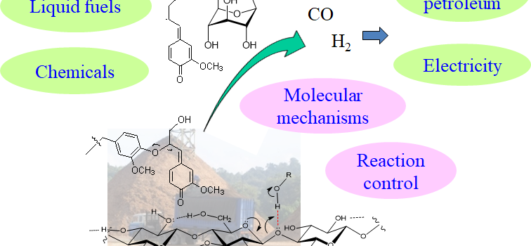 Molecular mechanisms in biomass pyrolysis