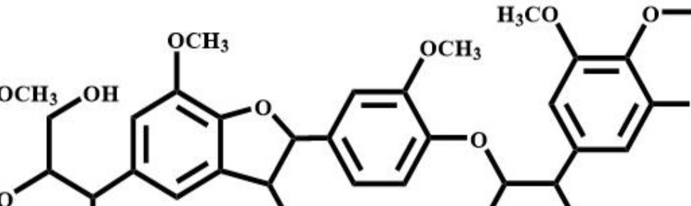 Lignin Symposium in Tokyo